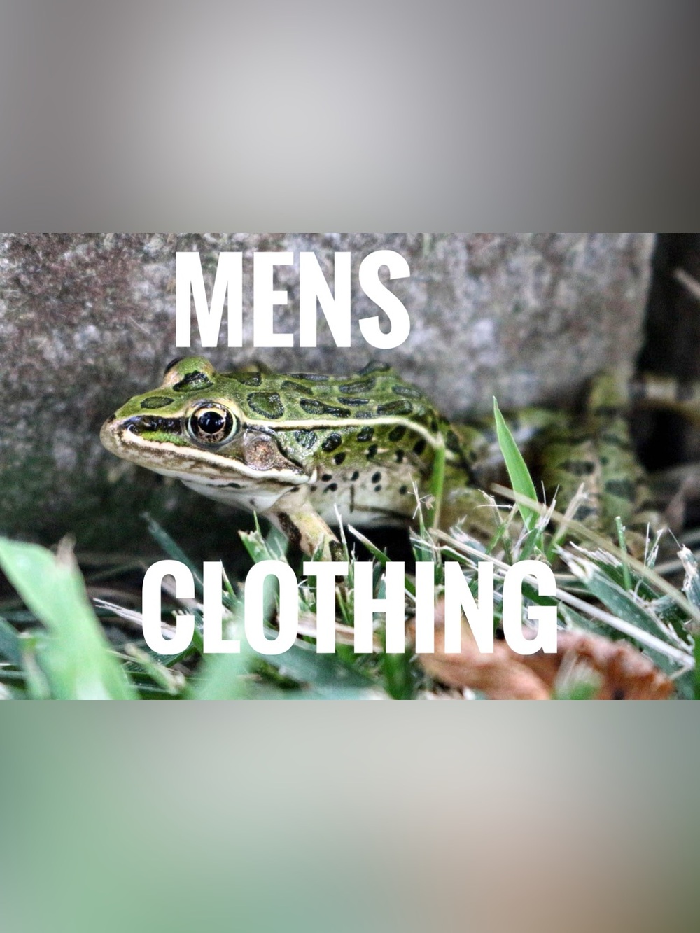 Men's Accessories - Green Frog Graphic (Brand Unspecified)